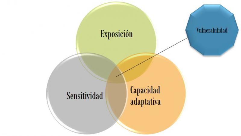 Conceptualización IPCC