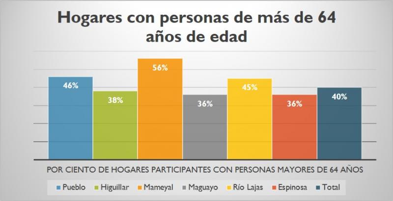 Hogares con personas mayores de 64 años